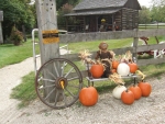 Witch guards pumpkins