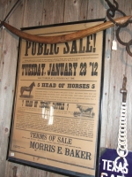 Livestock Auction Poster 1912