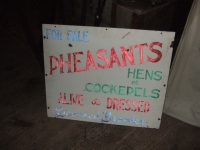 Pheasants sign