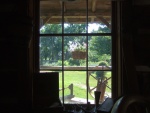 View out log house window