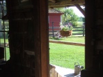 View out log house window