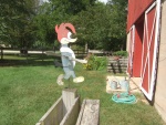 Woody Woodpecker wind guage