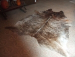 Tanned,_hair-_on,_cowhide