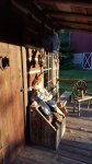 porch of log house at dusk