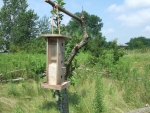 Bird_feeder-_prairie