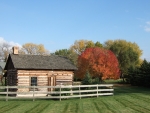 loghouse with autumn purple ash tree