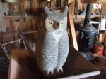 Owl to scare away other critters